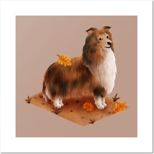 Rough Collie (Shetland Sheepdog) Posters and Art